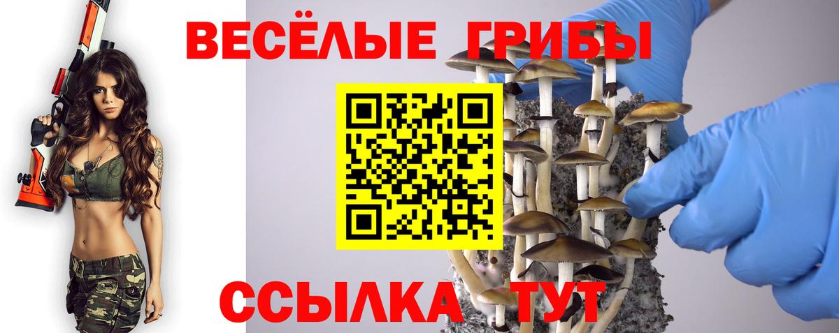 Псилоцибиновые грибы мухоморы  где купить наркотик  Джанкой  Вход с VPN 